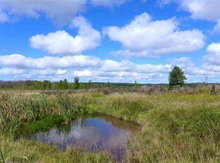 8916 Lakeview Rd, Alanson, MI 49706