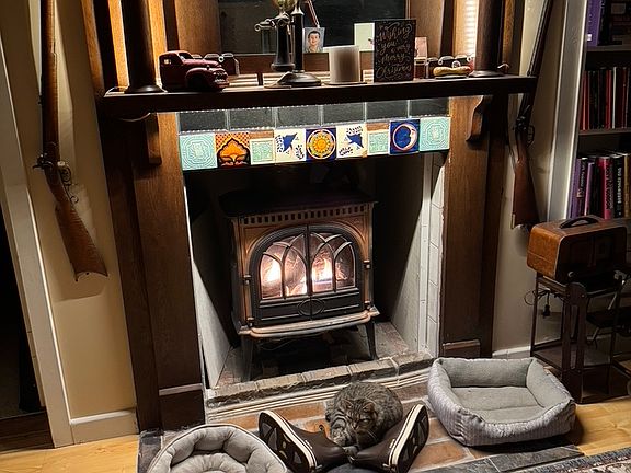Living room alt view Fireplace propane heat