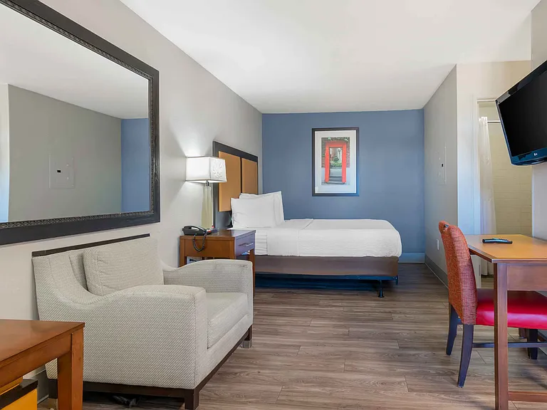 Studio Suite - 1 Queen Bed