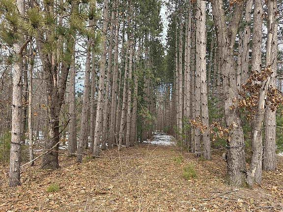 2nd image of W2806 West Dees Road #7