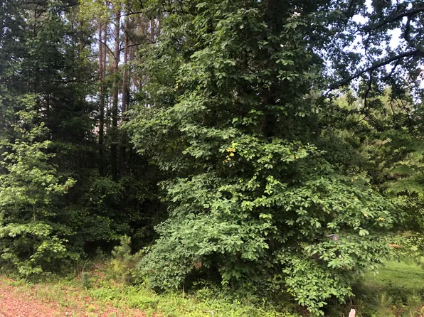 000 N LEXINGTON Road, Crawfordville, GA 30631