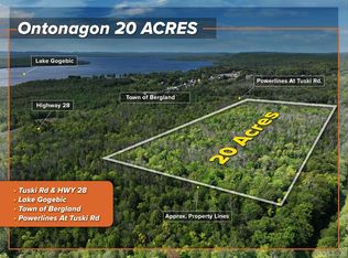 18214 Tuski Rd, Bergland, MI 49910