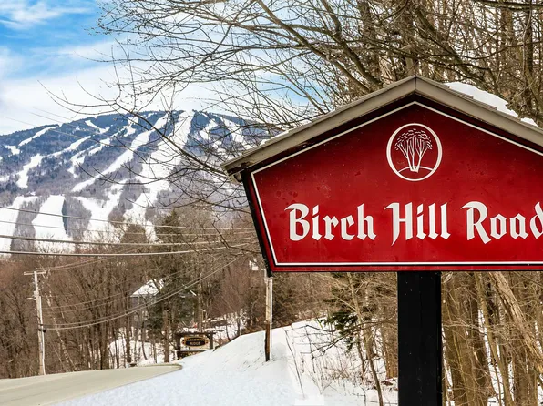 61 Birch Hill Road #2 Shagbark HIckory, Winhall, VT 05340