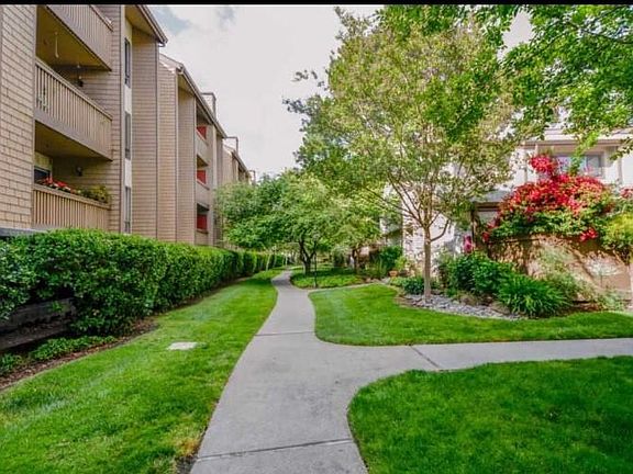 3rd image of 49 Showers Dr APT J325