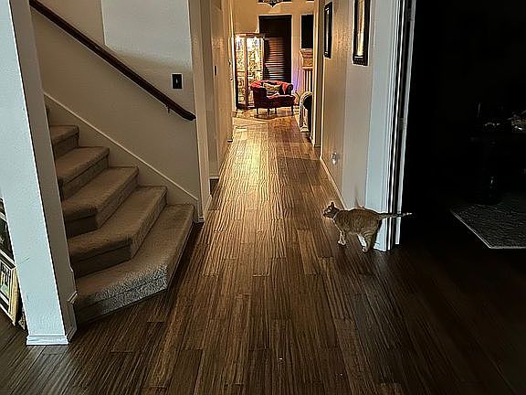 5th image of 6511 Daisy Dr