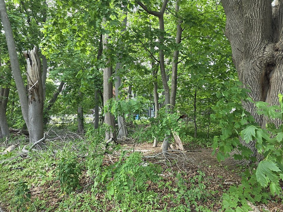 2nd image of 0 Dexter St