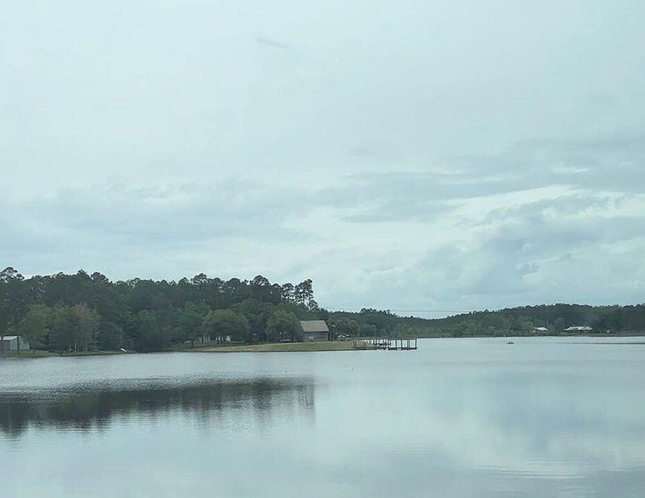 2nd image of Dogwood Dr
