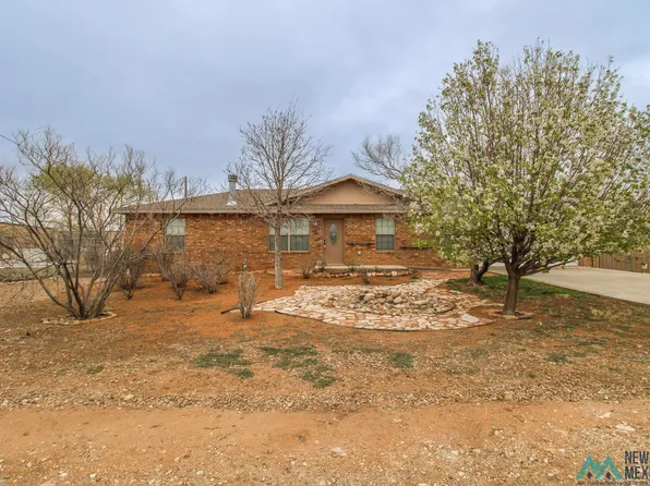 204 W 21st St, Portales, NM 88130