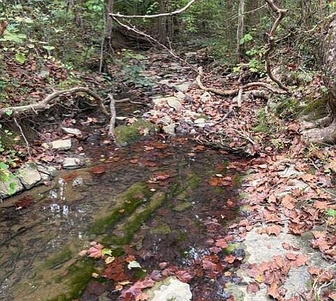 2nd image of Gadson Ln