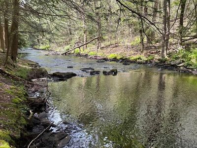 Lehigh River Ct, Gouldsboro, PA, 18424
