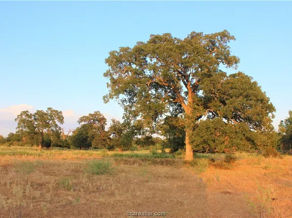 County Road 103, Iola, TX 77861