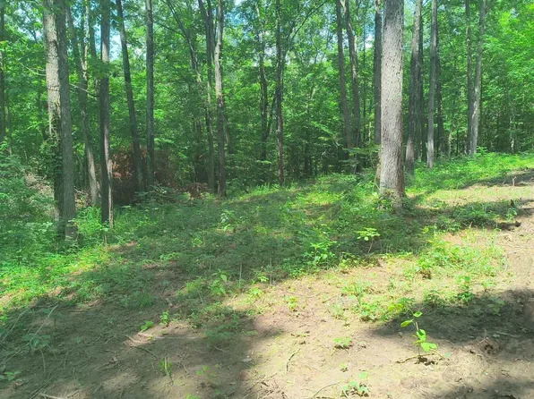 2500 S Coalmine Rd Lot 2, Bloomfield, IN 47424