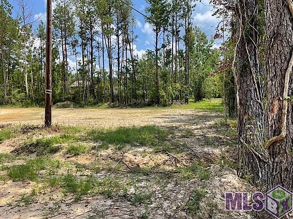 4th image of 21197 State Highway 442