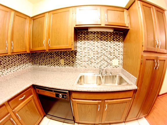 New double stainless sink