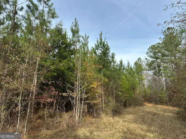 202 Jordan Rd, Waverly Hall, GA 31831