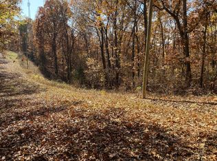 Bittersweet Ln, Ridgedale, MO 65739