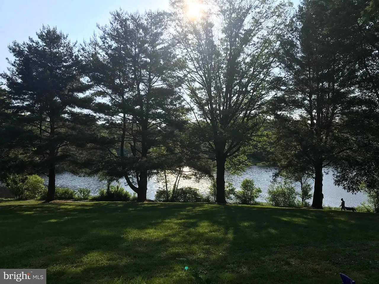 3 bed, 2.5 bath, 1577 sqft, $3,200 — Photo 3