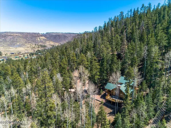 7 County Road N1317, Greer, AZ 85927
