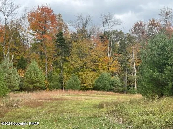141 Cinder Ln, Blakeslee, PA 18610