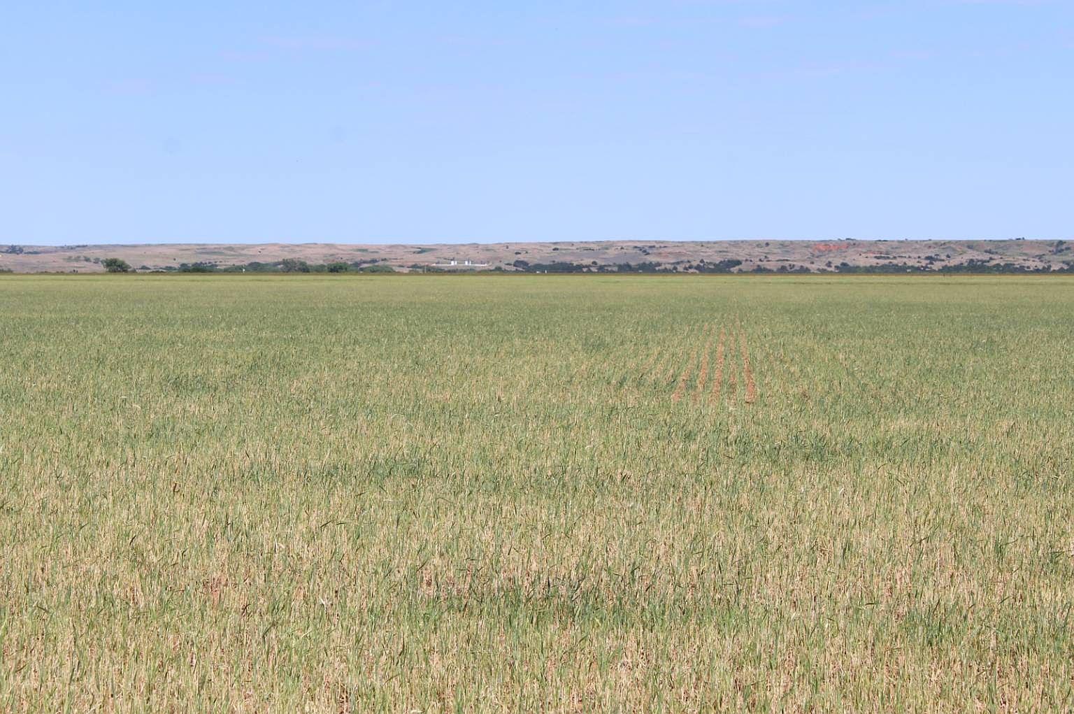 0 County Road 221, Taloga, OK 73667 MLS 11284291 Zillow