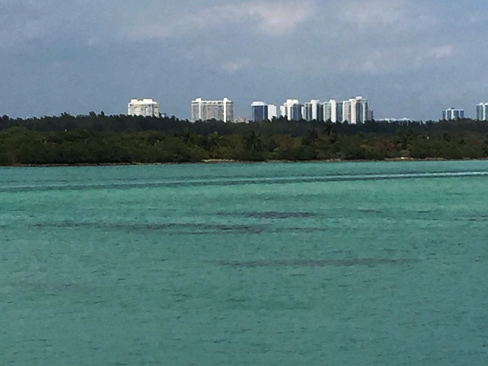 View from Unit