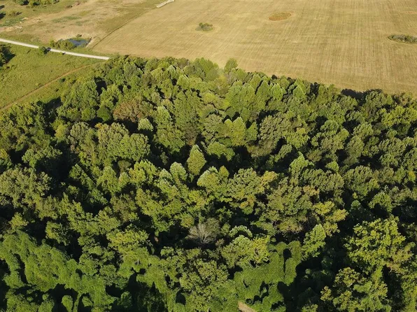0 Carter Ferry Rd, Centertown, KY 42328