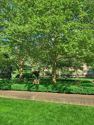 Rented by Corcoran | media 20