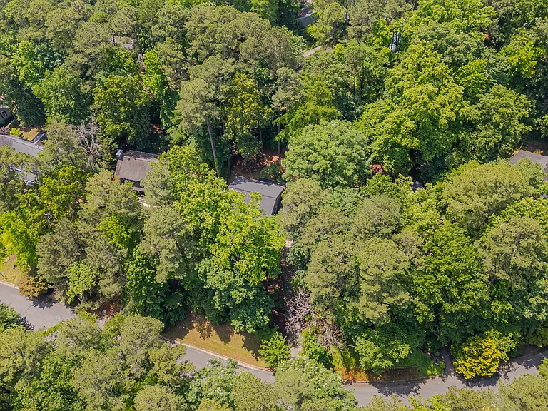 207 Old Forest Creek Dr — Photo 46