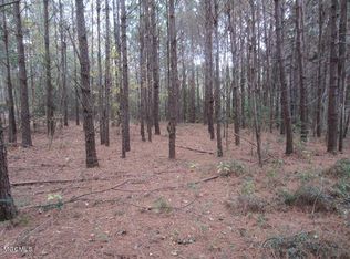 900 Macedonia Rd, Petal, MS 39465