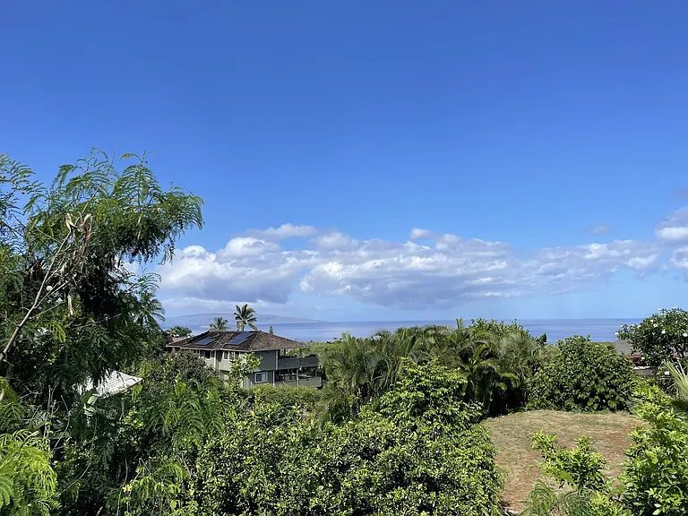 3258 Waileia Pl — Photo 15