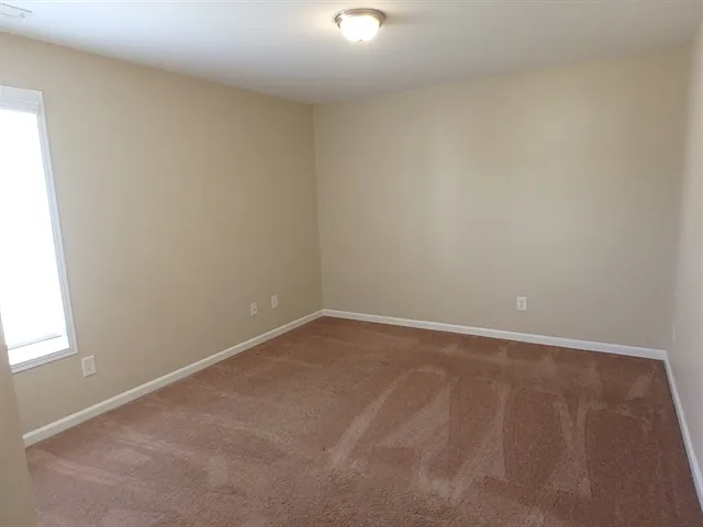 3919 Carolina Cherry Dr — Photo 10