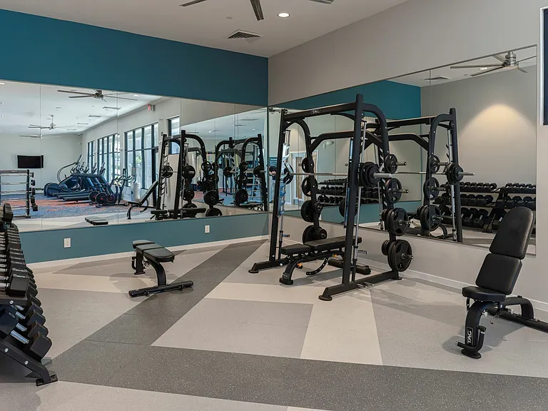 Gym Weights