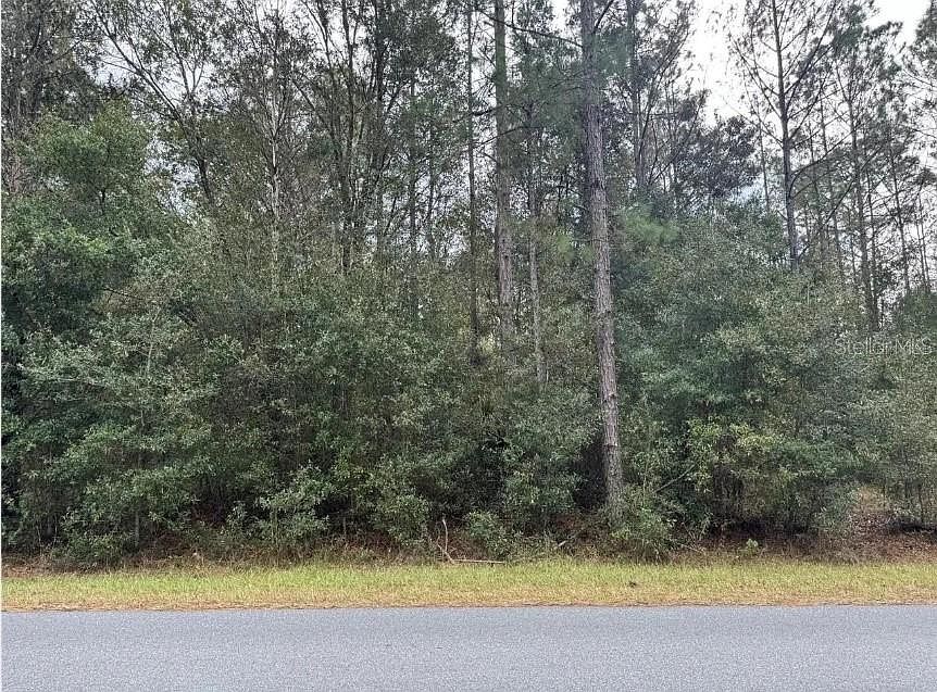 2nd image of 0 SW 36th Ave