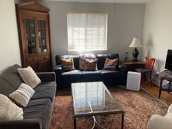 Living room down stairs with a pull out sofa