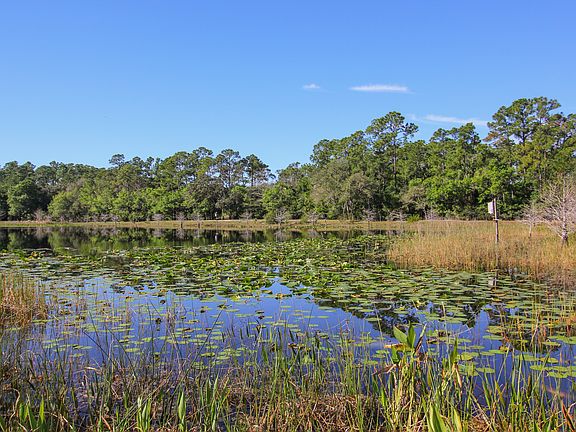Clean & Clear Water Lake