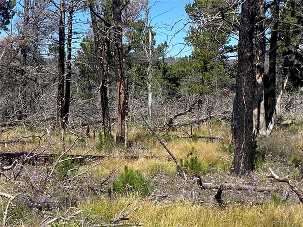 2249 Buonaventura Lane, Fort Garland, CO 81133