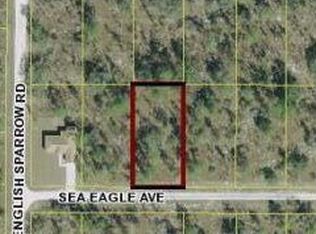 13205 Sea Eagle Ave, Weeki Wachee, FL 34614