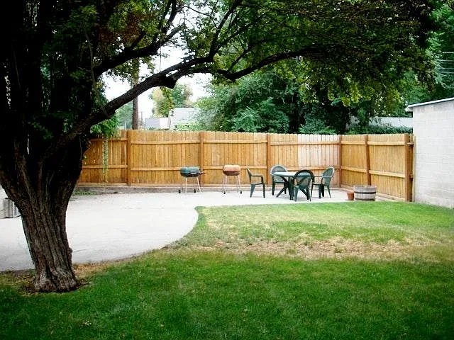 Nice Backyard