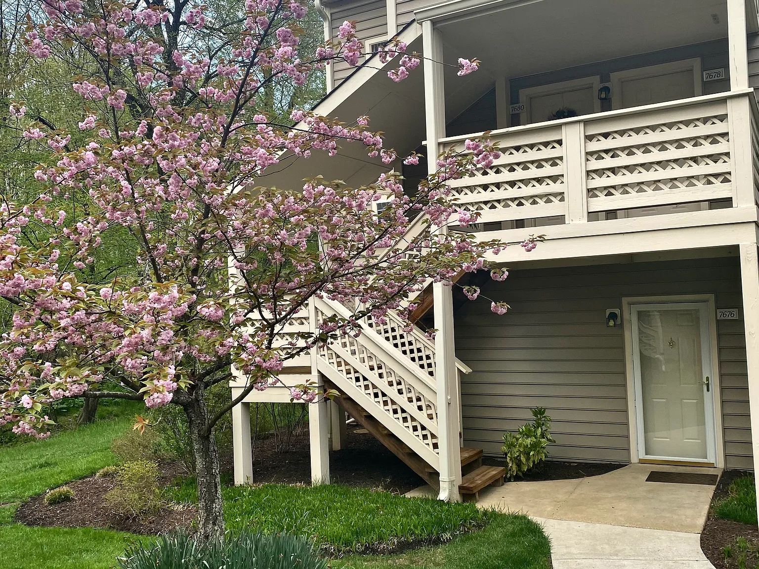 2 bed, 1294 sqft, $2,950 — Photo 3