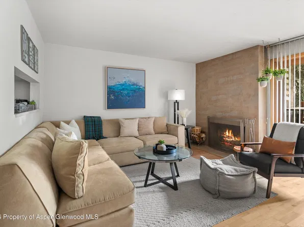 910 W Hallam St APT 8, Aspen, CO 81611