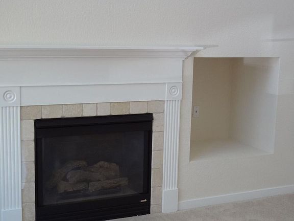 Fireplace/entertainment