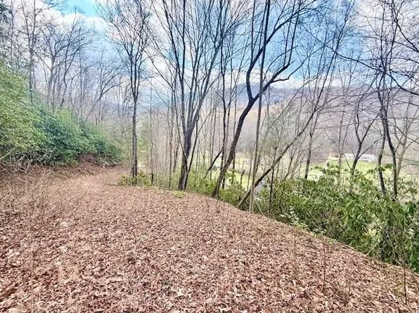 00 Beech Creek/ Little Hardwood, Robbinsville, NC 28771