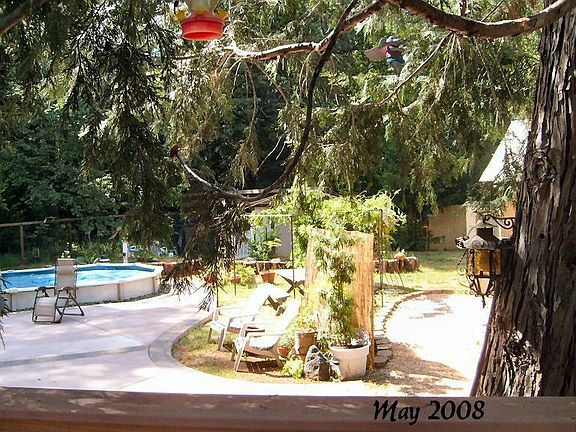 Pool and Patio