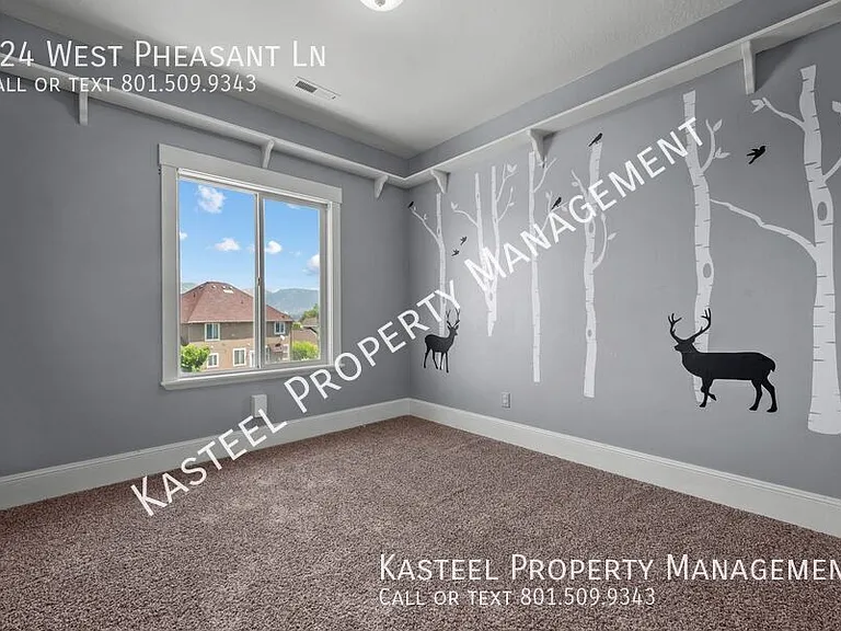 924 W Pheasant Ln — Photo 26