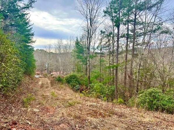 Na Blue Jay Ln, Marble, NC 28905