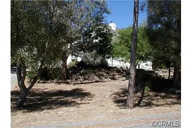 30586 Holiday Dr photo 1