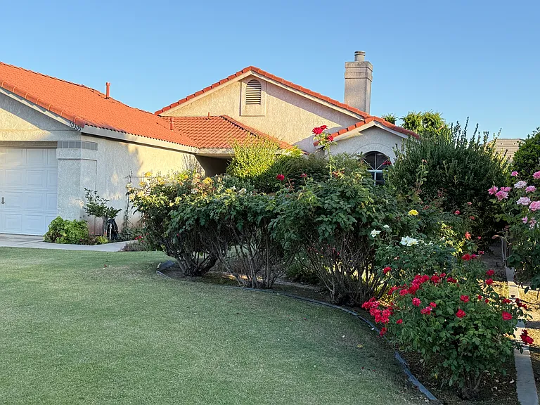 10305 Single Oak Dr — Photo 2