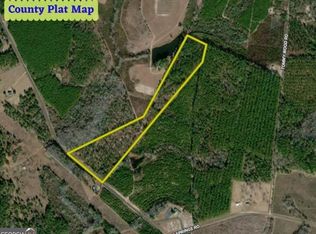 0 Minter Blue Springs Rd, Rockledge, GA 30454