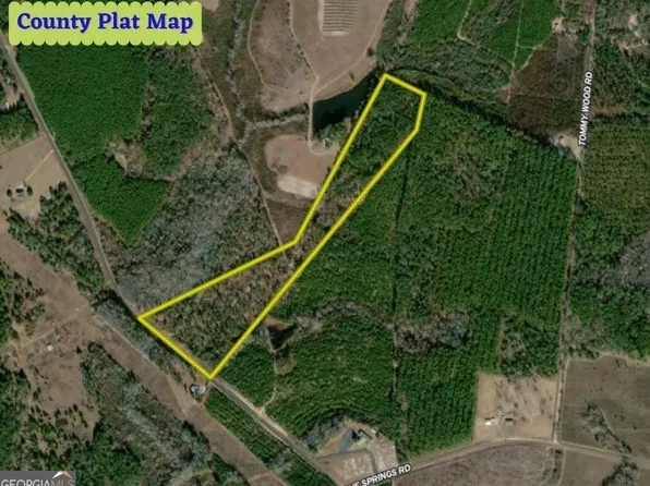 0 Minter Blue Springs Rd, Rockledge, GA 30454