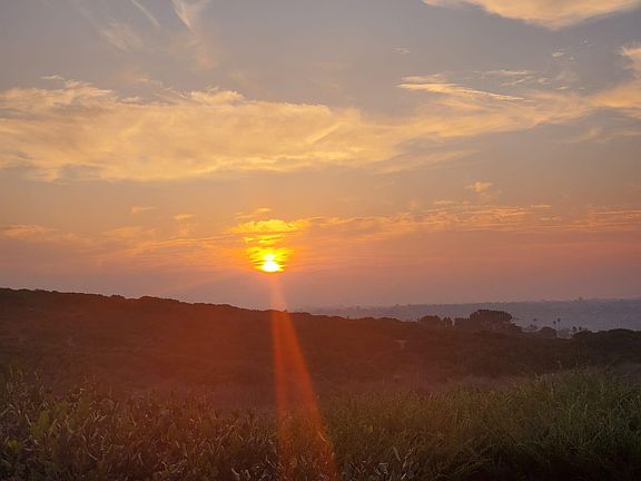 Sunrise over Kate Sessions Park